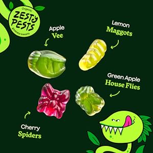 Treat Box - (Pack of 24) Wild Thingz Mixed Flavour Organic & Low Sugar Natural Gummy Sweets, Vegan & Gluten Free Party Box - Perfect for Lunchboxes, Party Bags, Offices or as Gifts 25 g