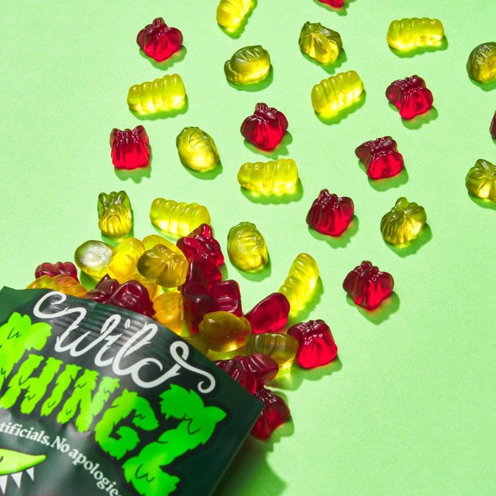 Treat Box - (Pack of 24) Wild Thingz Mixed Flavour Organic & Low Sugar Natural Gummy Sweets, Vegan & Gluten Free Party Box - Perfect for Lunchboxes, Party Bags, Offices or as Gifts 25 g