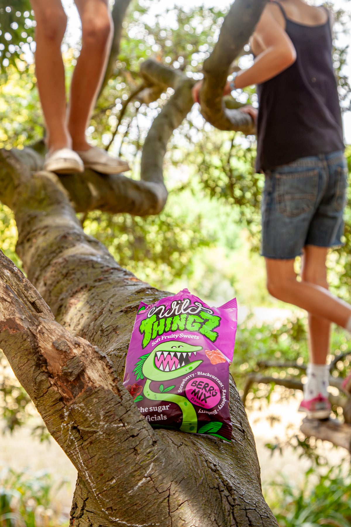 Berry Mix Treat Pack