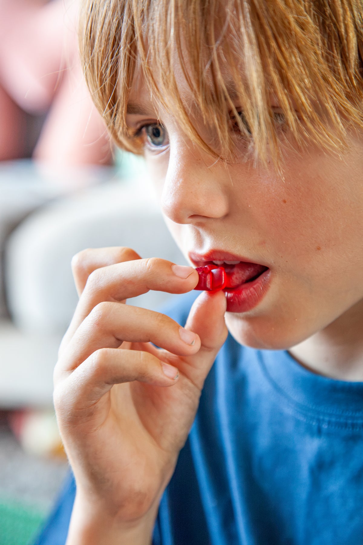 Berry Mix Treat Pack