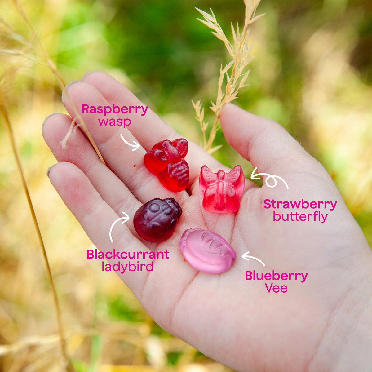Berry Mix Treat Pack