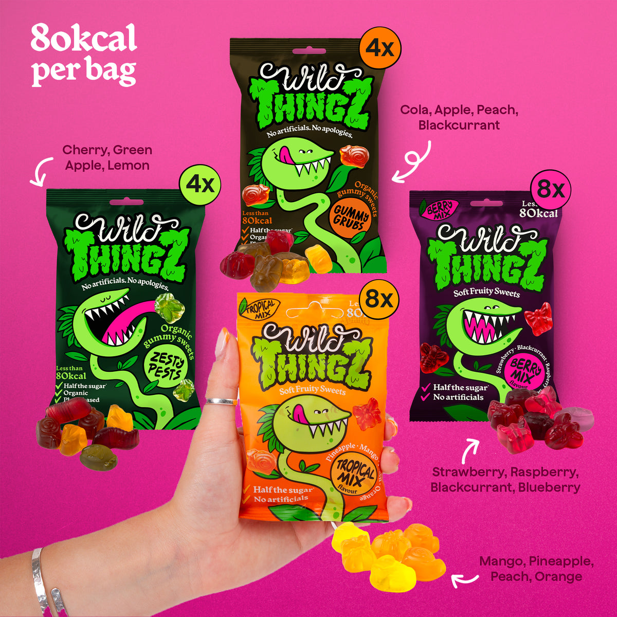 The four flavours in the Party Box with their fruit flavours: Zesty Pests, Gummy Grubs, Tropical Mix and Berry Mix, 80kcal per bag